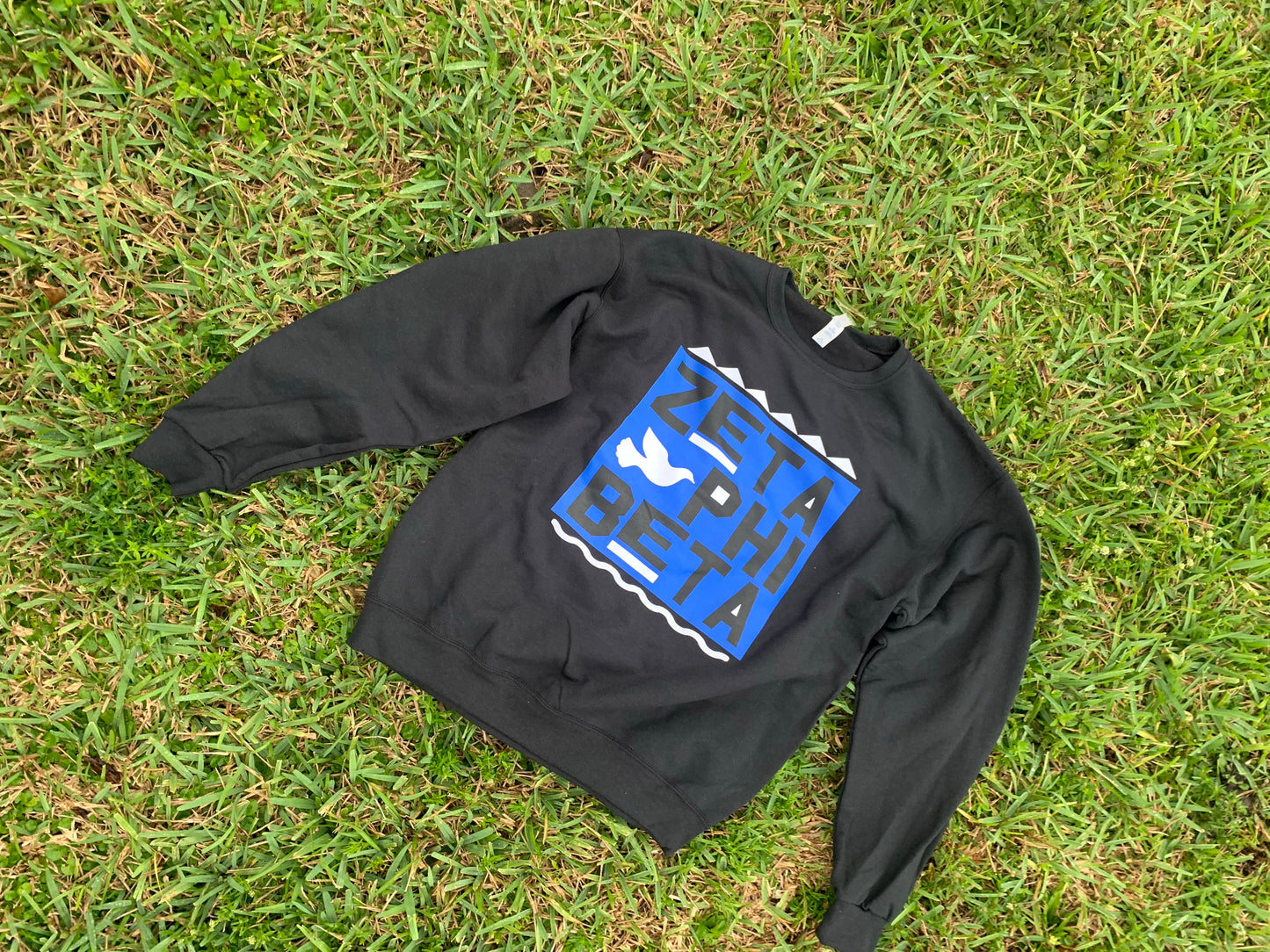 Zeta Phi Beta Big Martin Sweatshirt