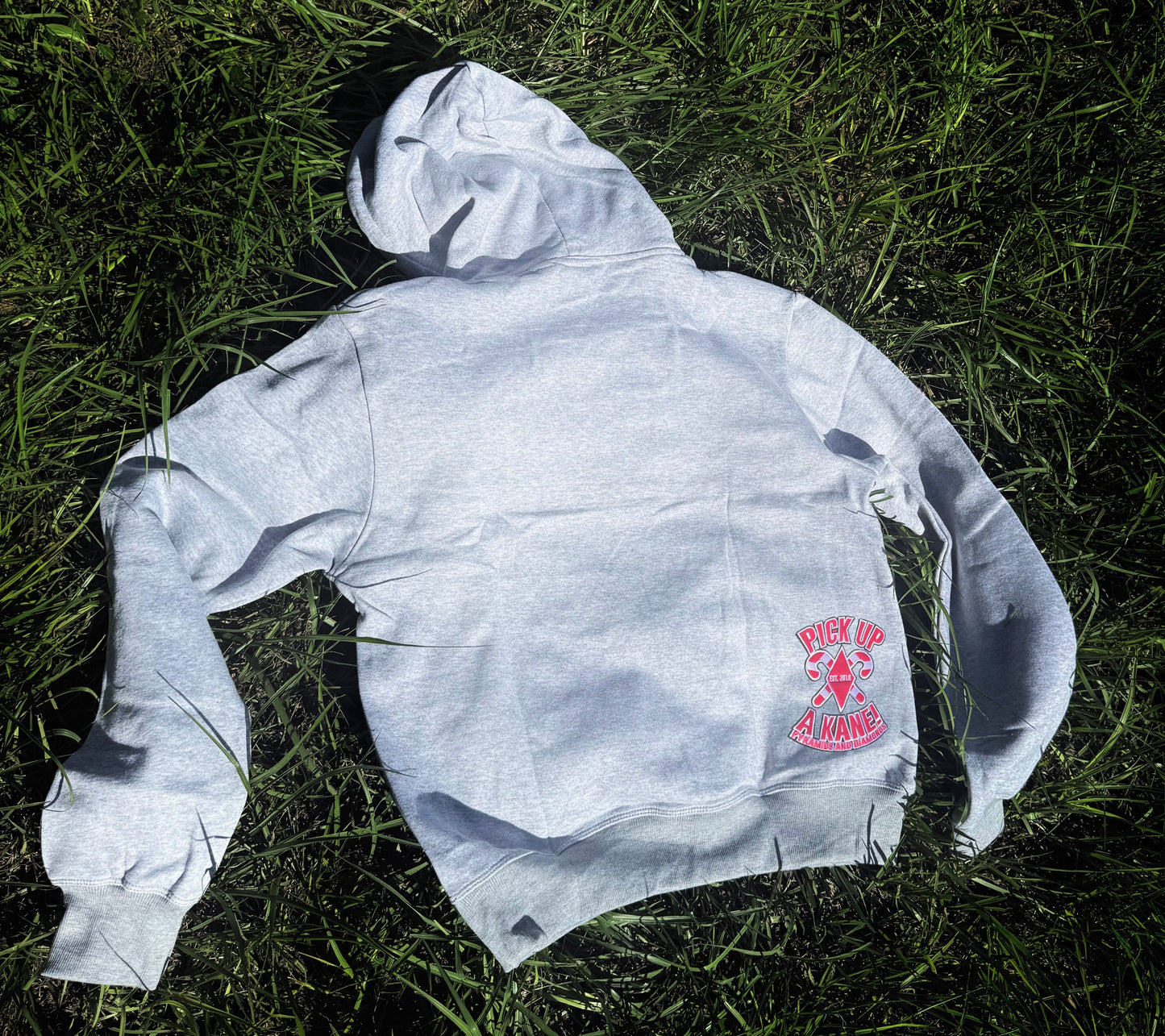 Skater Hater Hoodies (2019)