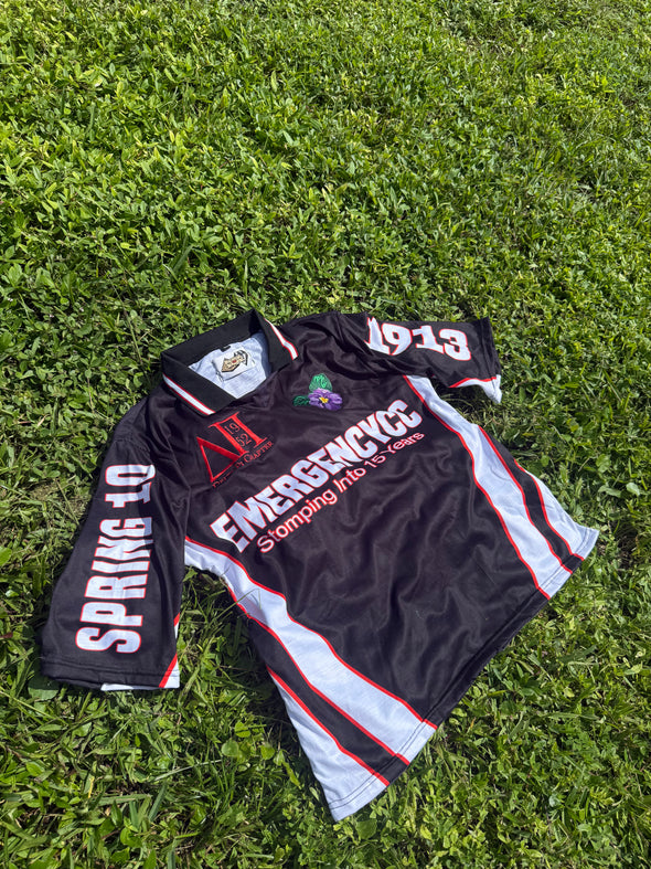 Delta Pi Spring 10 Line Shirts (GHOST LINK)