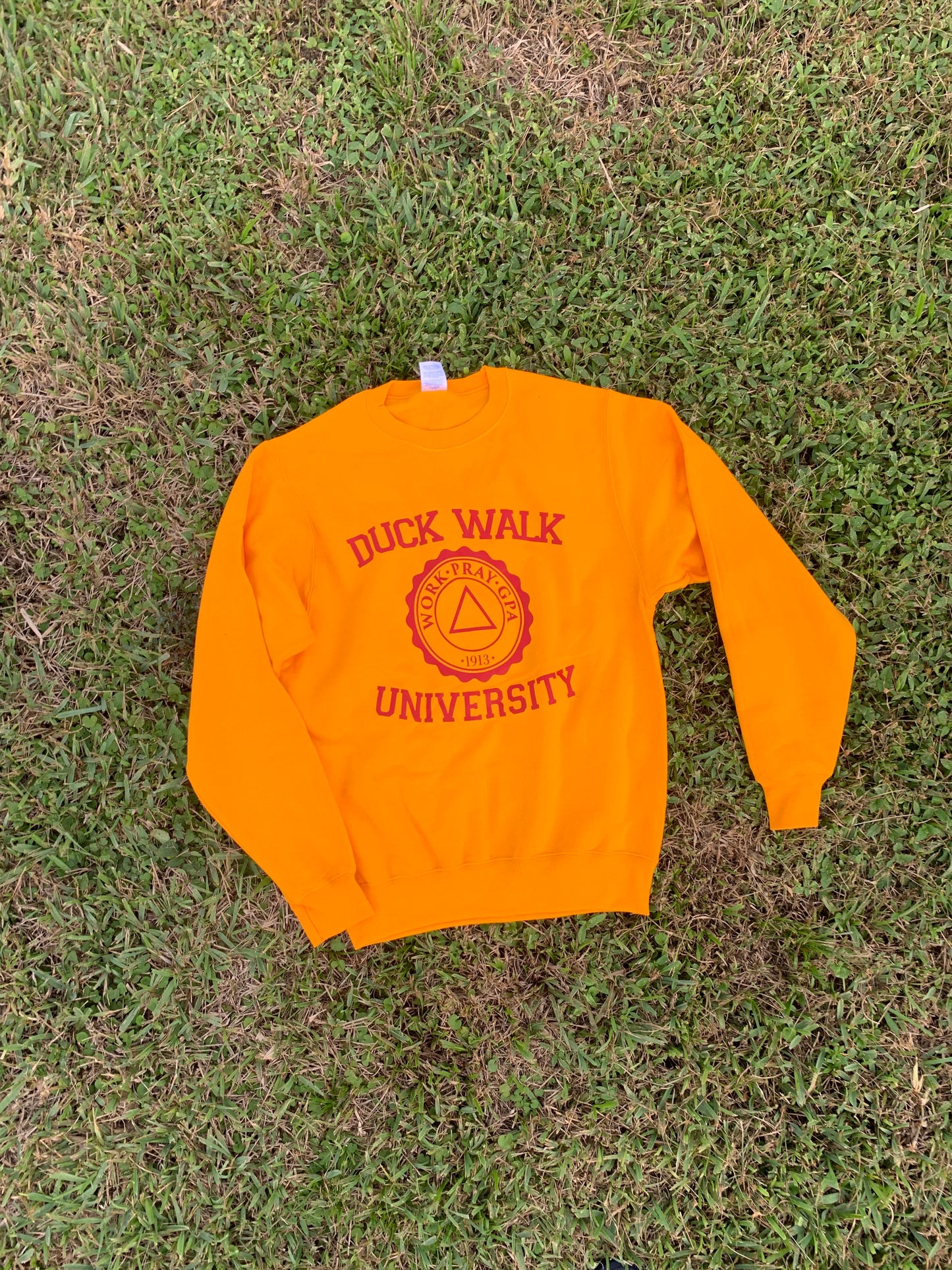 Duck Walk University