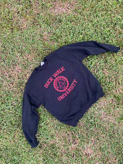 Duck Walk University