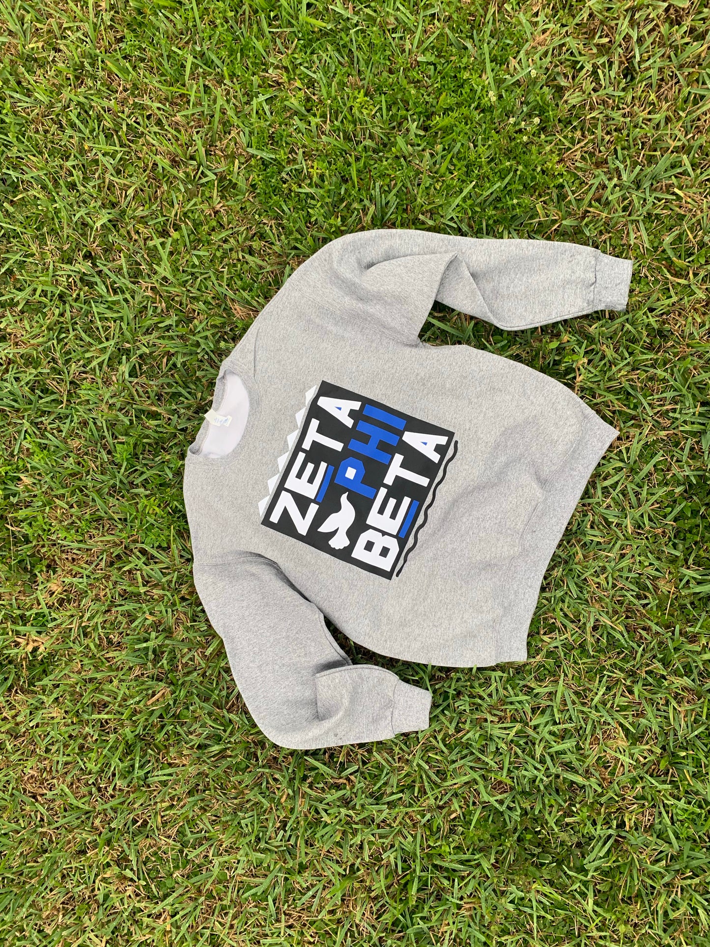 Zeta Phi Beta Big Martin Sweatshirt