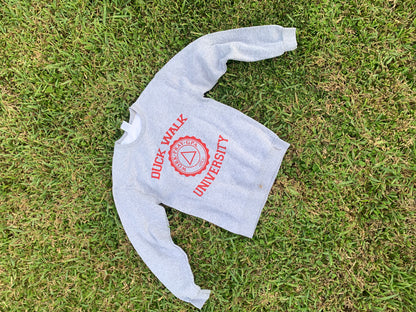 Duck Walk University